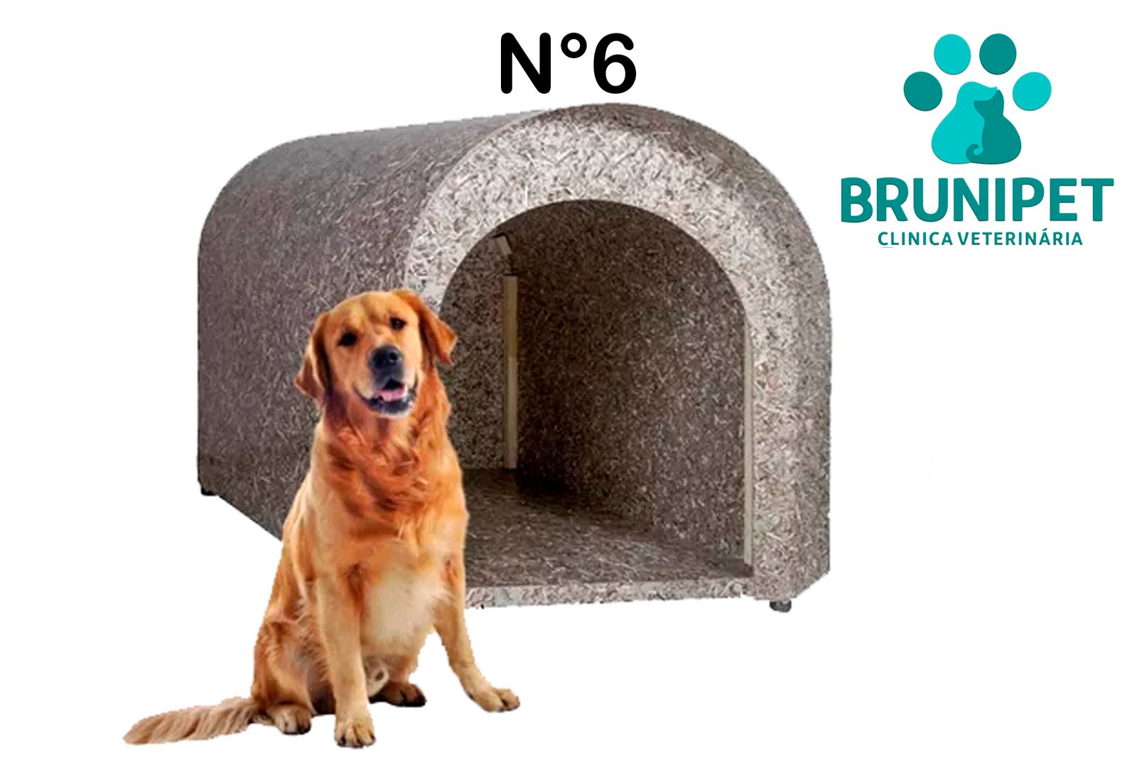 Casinha Casa para cachorro Modelo Iglu Madeira Ecológica N6